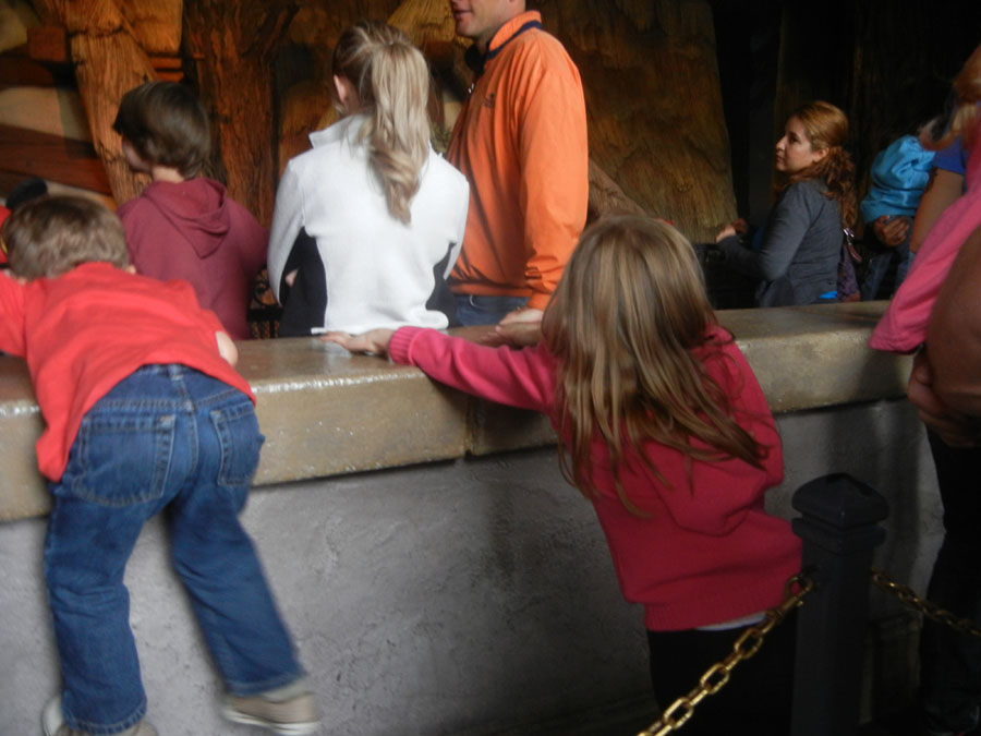 Disneyland Snow White's Scary Adventure Picture